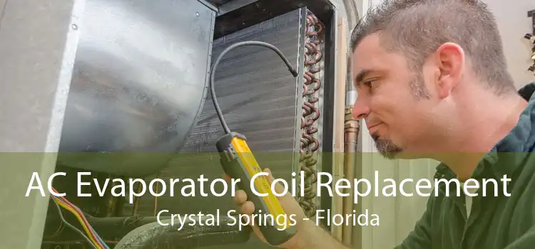 AC Evaporator Coil Replacement Crystal Springs - Florida