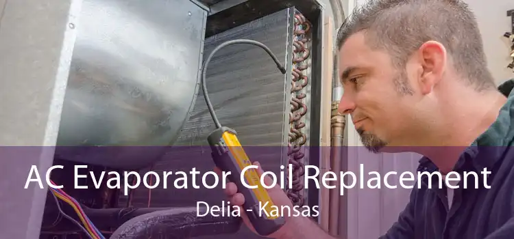 AC Evaporator Coil Replacement Delia - Kansas