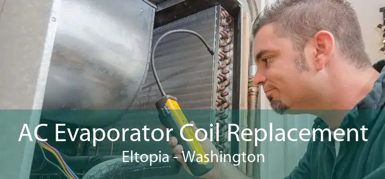AC Evaporator Coil Replacement Eltopia - Washington