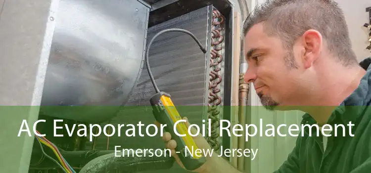 AC Evaporator Coil Replacement Emerson - New Jersey