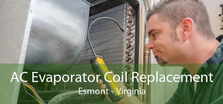 AC Evaporator Coil Replacement Esmont - Virginia