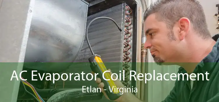 AC Evaporator Coil Replacement Etlan - Virginia