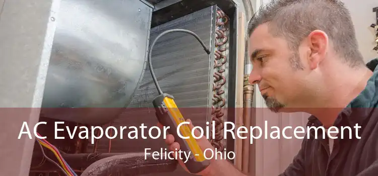 AC Evaporator Coil Replacement Felicity - Ohio