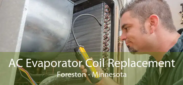 AC Evaporator Coil Replacement Foreston - Minnesota