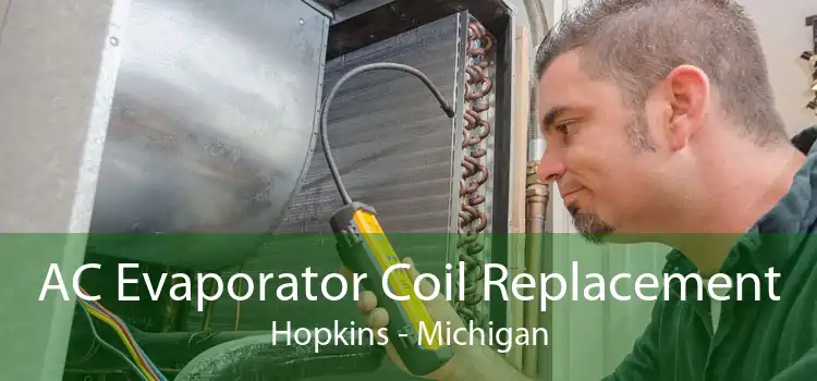 AC Evaporator Coil Replacement Hopkins - Michigan