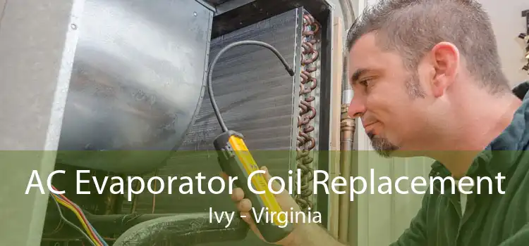AC Evaporator Coil Replacement Ivy - Virginia