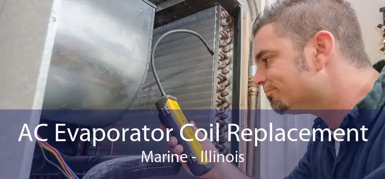 AC Evaporator Coil Replacement Marine - Illinois
