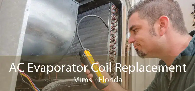 AC Evaporator Coil Replacement Mims - Florida