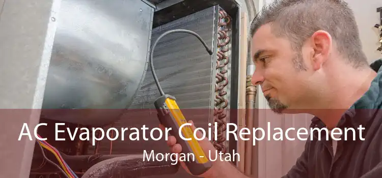 AC Evaporator Coil Replacement Morgan - Utah