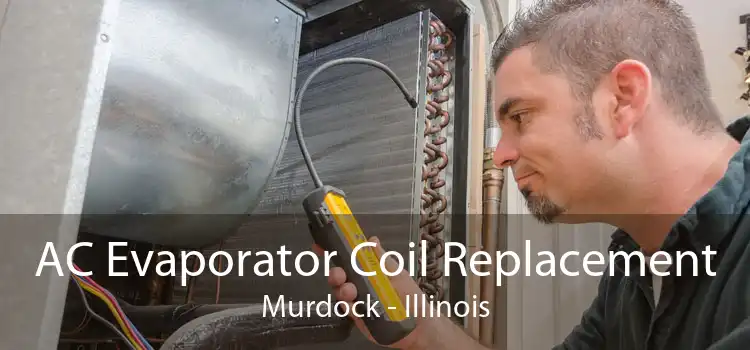 AC Evaporator Coil Replacement Murdock - Illinois