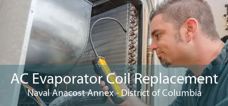 AC Evaporator Coil Replacement Naval Anacost Annex - District of Columbia