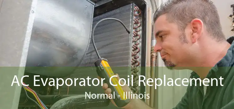 AC Evaporator Coil Replacement Normal - Illinois