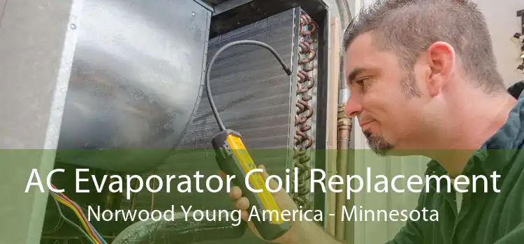 AC Evaporator Coil Replacement Norwood Young America - Minnesota