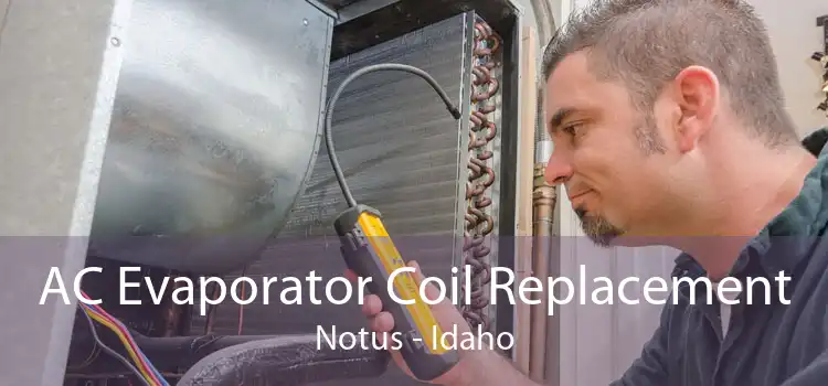 AC Evaporator Coil Replacement Notus - Idaho