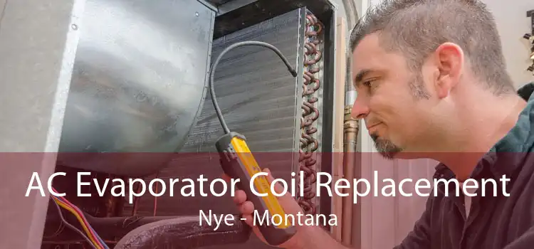 AC Evaporator Coil Replacement Nye - Montana