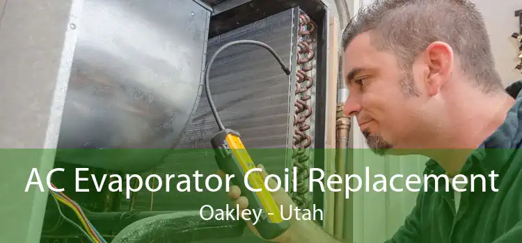 AC Evaporator Coil Replacement Oakley - Utah