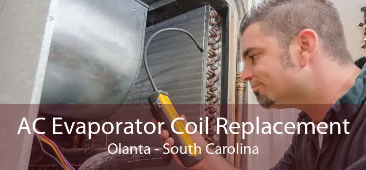 AC Evaporator Coil Replacement Olanta - South Carolina