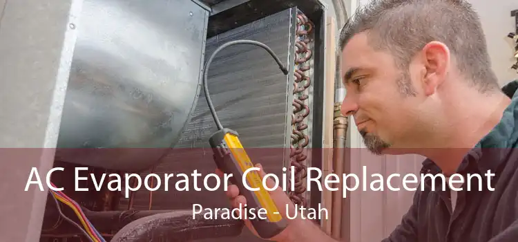 AC Evaporator Coil Replacement Paradise - Utah