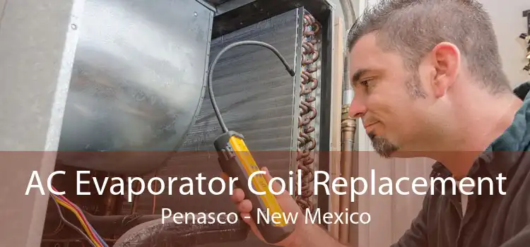 AC Evaporator Coil Replacement Penasco - New Mexico