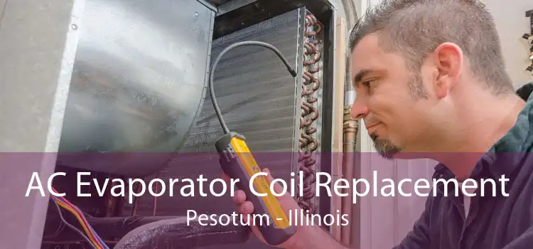 AC Evaporator Coil Replacement Pesotum - Illinois