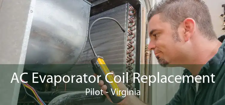 AC Evaporator Coil Replacement Pilot - Virginia