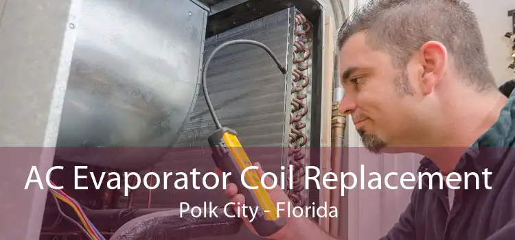AC Evaporator Coil Replacement Polk City - Florida