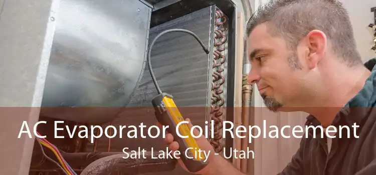 AC Evaporator Coil Replacement Salt Lake City - Utah