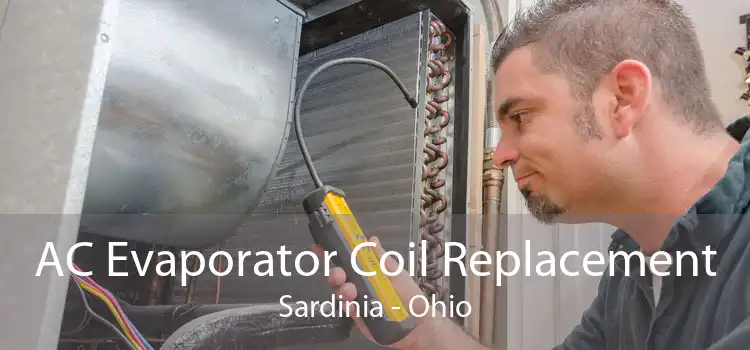 AC Evaporator Coil Replacement Sardinia - Ohio