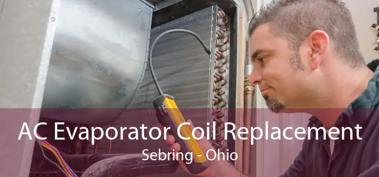 AC Evaporator Coil Replacement Sebring - Ohio