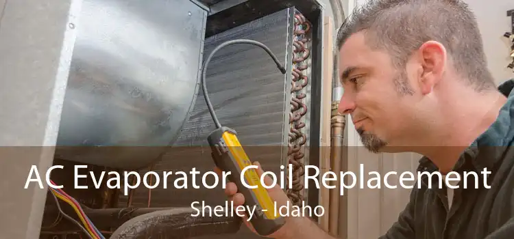 AC Evaporator Coil Replacement Shelley - Idaho
