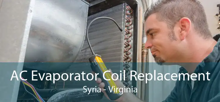 AC Evaporator Coil Replacement Syria - Virginia