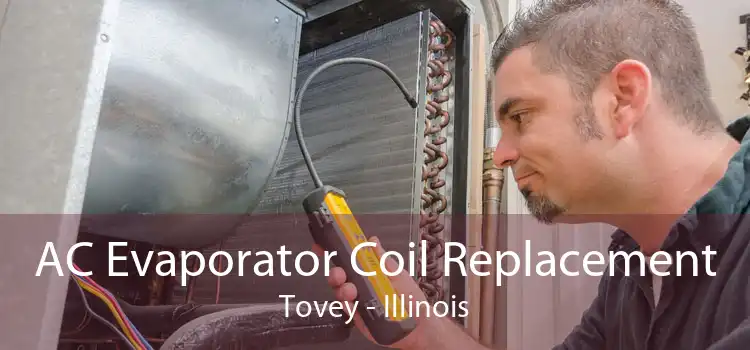 AC Evaporator Coil Replacement Tovey - Illinois