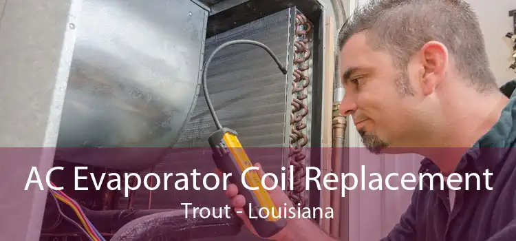 AC Evaporator Coil Replacement Trout - Louisiana