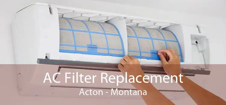 AC Filter Replacement Acton - Montana