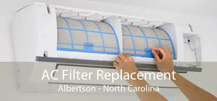 AC Filter Replacement Albertson - North Carolina