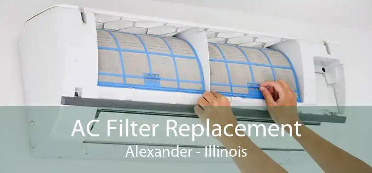 AC Filter Replacement Alexander - Illinois