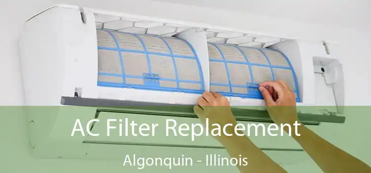 AC Filter Replacement Algonquin - Illinois