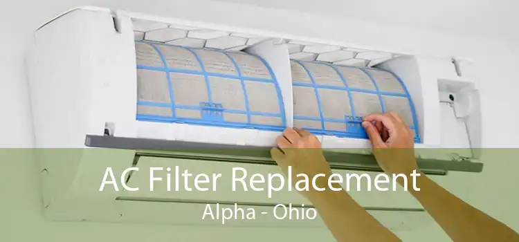 AC Filter Replacement Alpha - Ohio