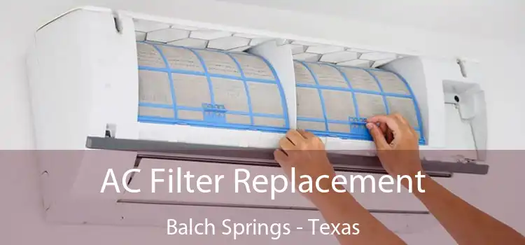 AC Filter Replacement Balch Springs - Texas