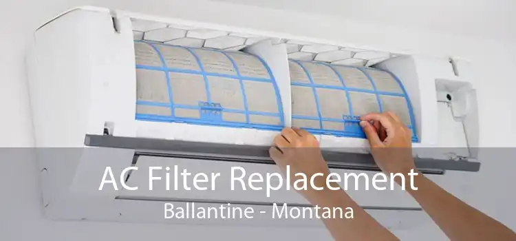 AC Filter Replacement Ballantine - Montana