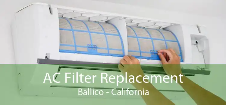 AC Filter Replacement Ballico - California