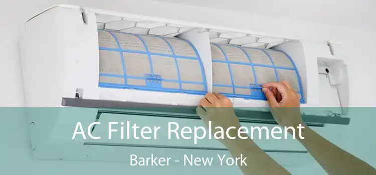 AC Filter Replacement Barker - New York