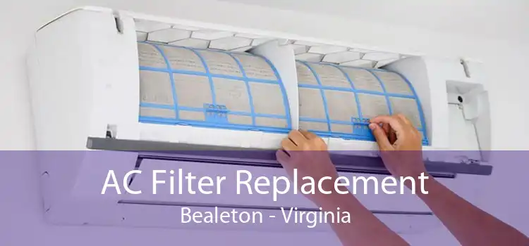 AC Filter Replacement Bealeton - Virginia