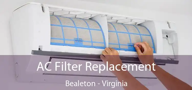 AC Filter Replacement Bealeton - Virginia