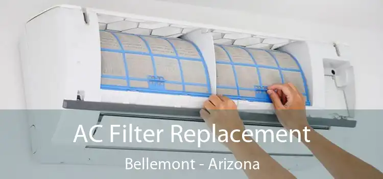 AC Filter Replacement Bellemont - Arizona