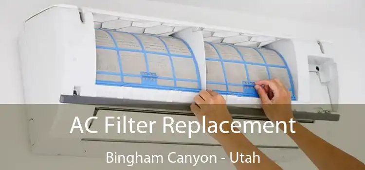 AC Filter Replacement Bingham Canyon - Utah