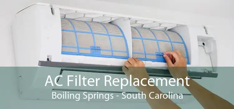 AC Filter Replacement Boiling Springs - South Carolina