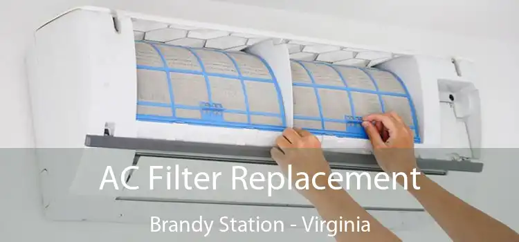 AC Filter Replacement Brandy Station - Virginia