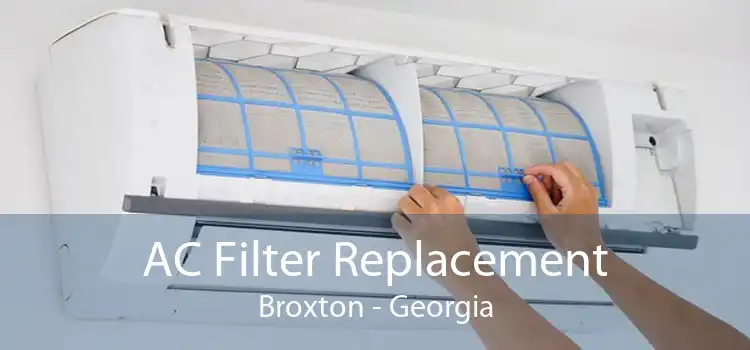 AC Filter Replacement Broxton - Georgia
