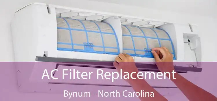 AC Filter Replacement Bynum - North Carolina